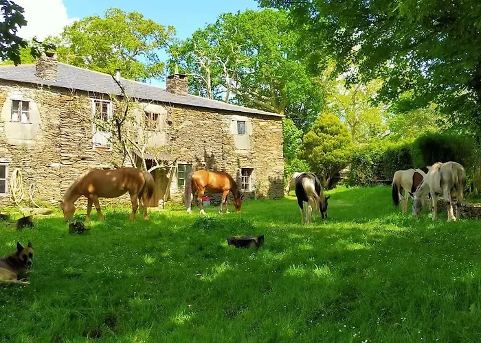 Granja Labrada: Con Caballos *