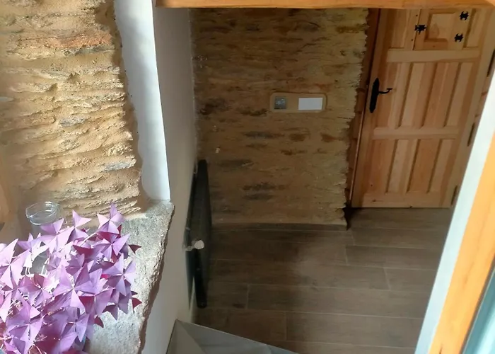 Granja Labrada: Con Caballos Manon